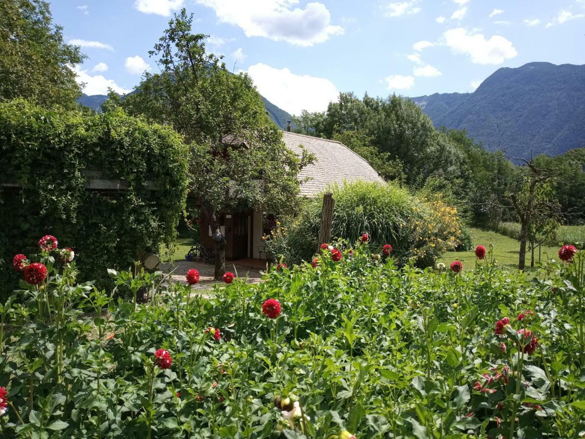 בובק Holiday House Zeleni Gaj מראה חיצוני תמונה